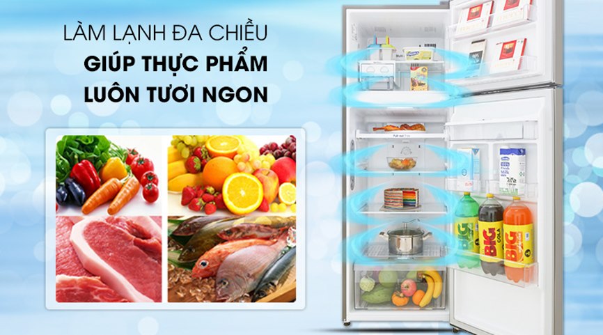 Tìm hiểu chiếc tủ lạnh LG GN-D315S 2 cánh 315 lít