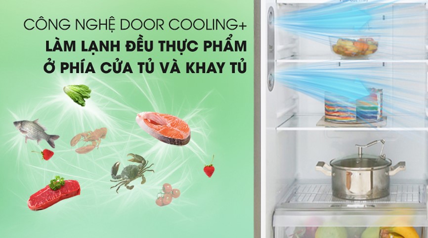 Tìm hiểu chiếc tủ lạnh LG GN-D315S 2 cánh 315 lít