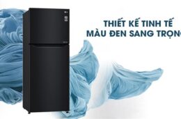 Top 3 chiếc tủ lạnh LG Inverter 2 cánh giá rẻ trong dịp đầu năm 2022