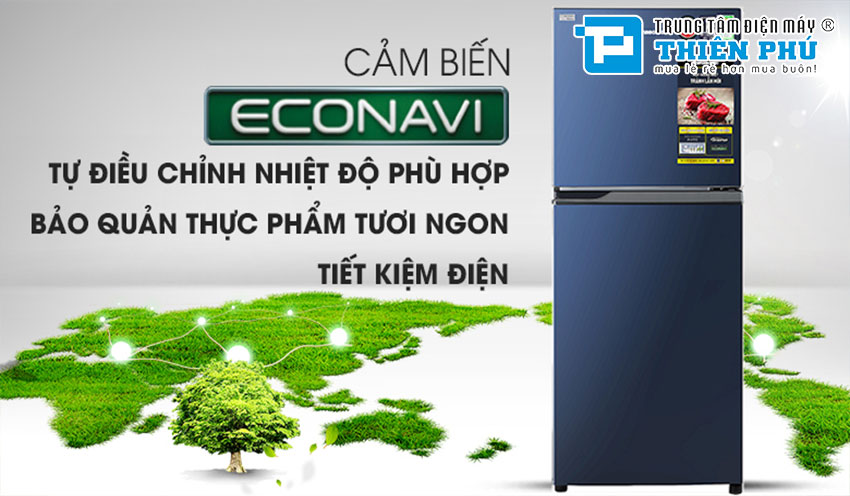 Tủ Lạnh Panasonic Inverter 234 Lít NR-BL263PAVN 2 Cánh