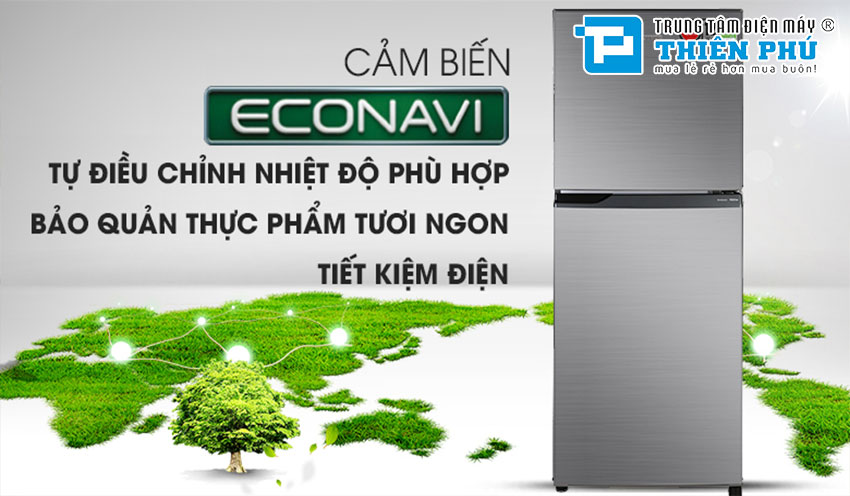 Tủ Lạnh Panasonic Inverter 234 Lít NR-BL26AVPVN 2 Cánh