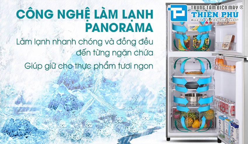 Tủ Lạnh Panasonic Inverter 234 Lít NR-BL26AVPVN 2 Cánh