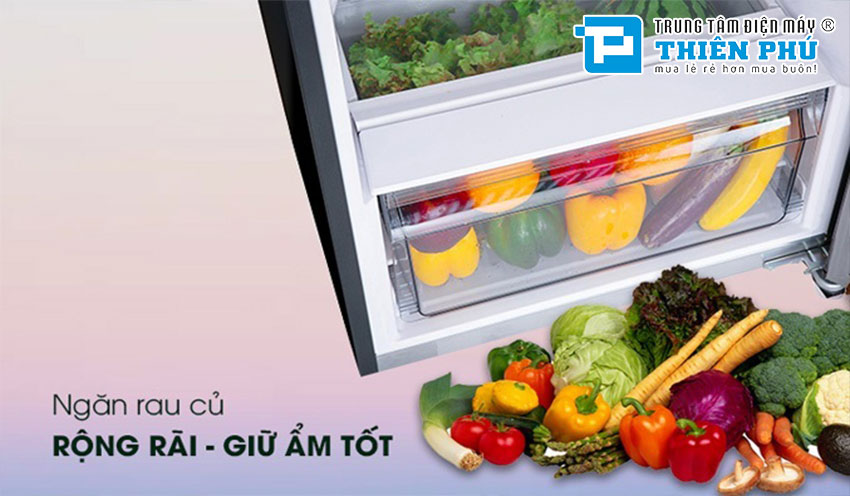 Tủ Lạnh Panasonic Inverter NR-BL351GKVN 2 Cánh 326 Lít