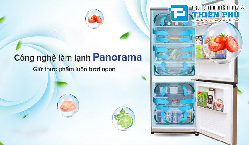 Tủ Lạnh Panasonic Inverter NR-BV280QSVN 2 Cánh 255 Lít