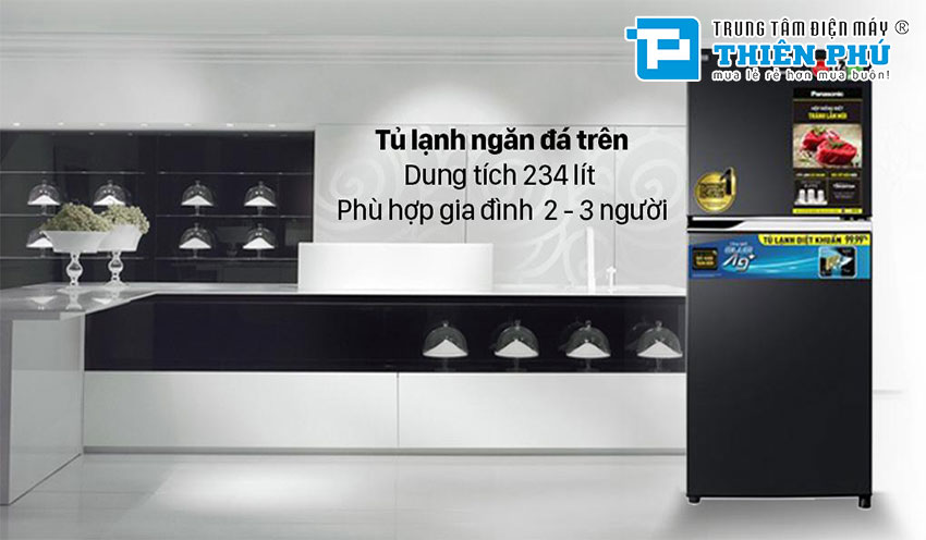 Tủ Lạnh Panasonic Inverter NR-TV261BPKV 2 Cánh 234 Lít
