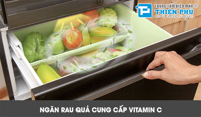 Tủ Lạnh Mitsubishi Electric Inverter MR-CX41EJ-BRW-V 3 Cánh 326 Lít