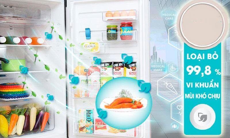 Tủ Lạnh Electrolux ETB2802H-A có đáng để bạn lựa chọn?