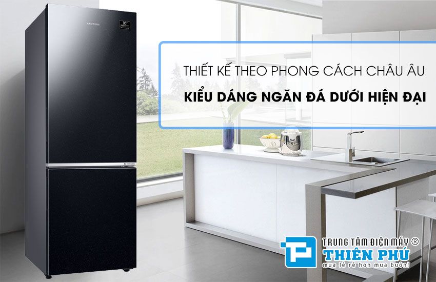 Giới thiệu tủ lạnh Samsung RB30N4010BU/SV và những điều bạn cần biết