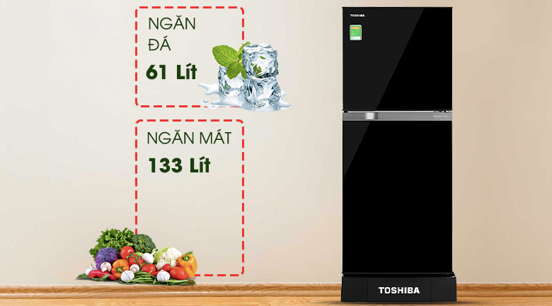 Tìm hiểu chiếc tủ lạnh Toshiba GR-A25VM 2 Cánh 194 Lít