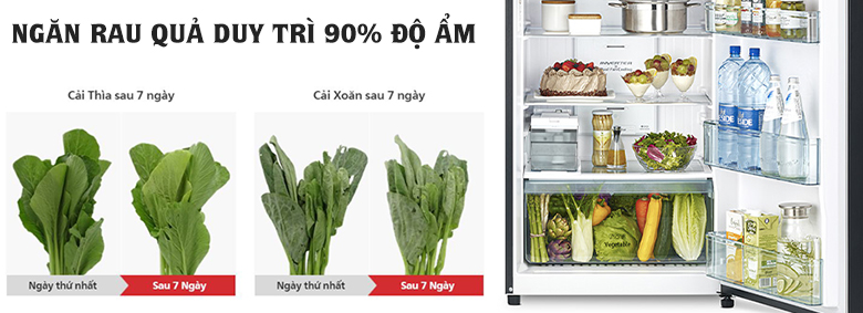 Điểm giống nhau ở tủ lạnh Samsung RT35K50822C/SV và Htiachi R-FVY480PGV0(GBK)