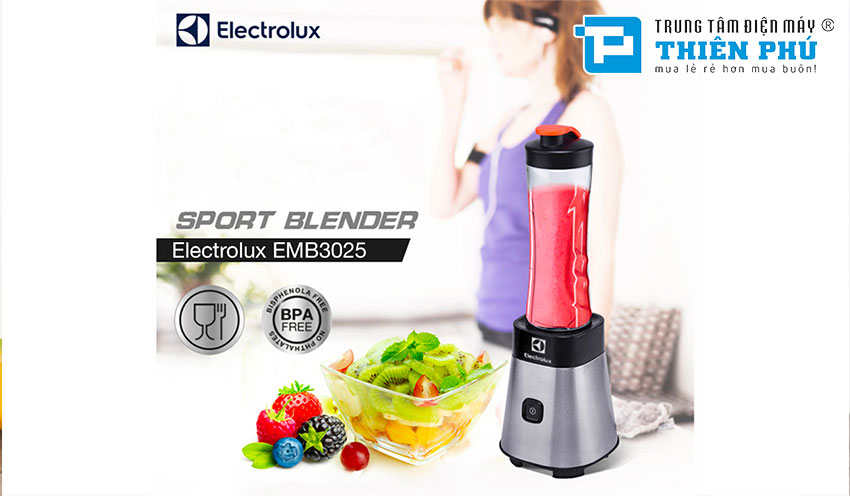 Máy Xay Sinh Tố Electrolux EMB3025 0,6 Lít