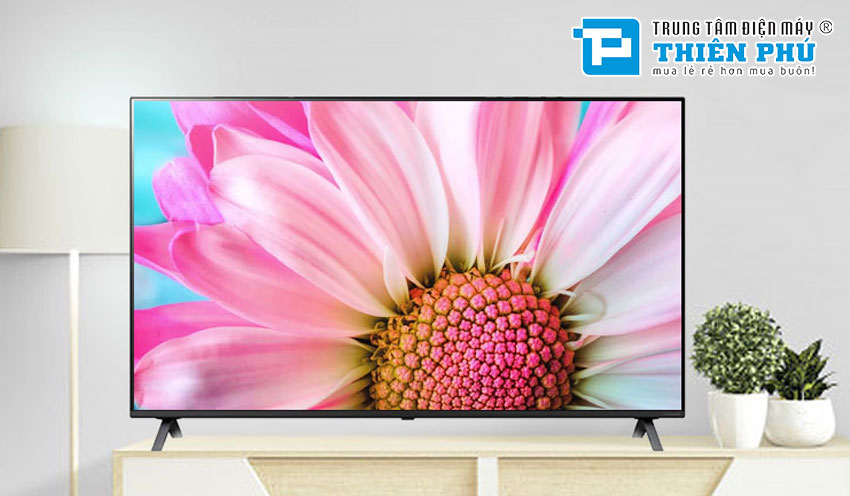 Gợi ý 3 chiếc Smart tivi LG 55 inch mới nhất cho phòng khách nhà chung cư diện tích trung bình
