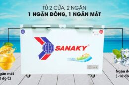 Đánh giá có nên mua tủ đông Sanaky 1 đông 1 mát VH-2599W1 không?