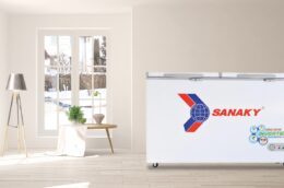 Tủ đông Sanaky inverter 1 ngăn đông 235 Lít VH-2899A3: Giữ trọn vị tươi ngon