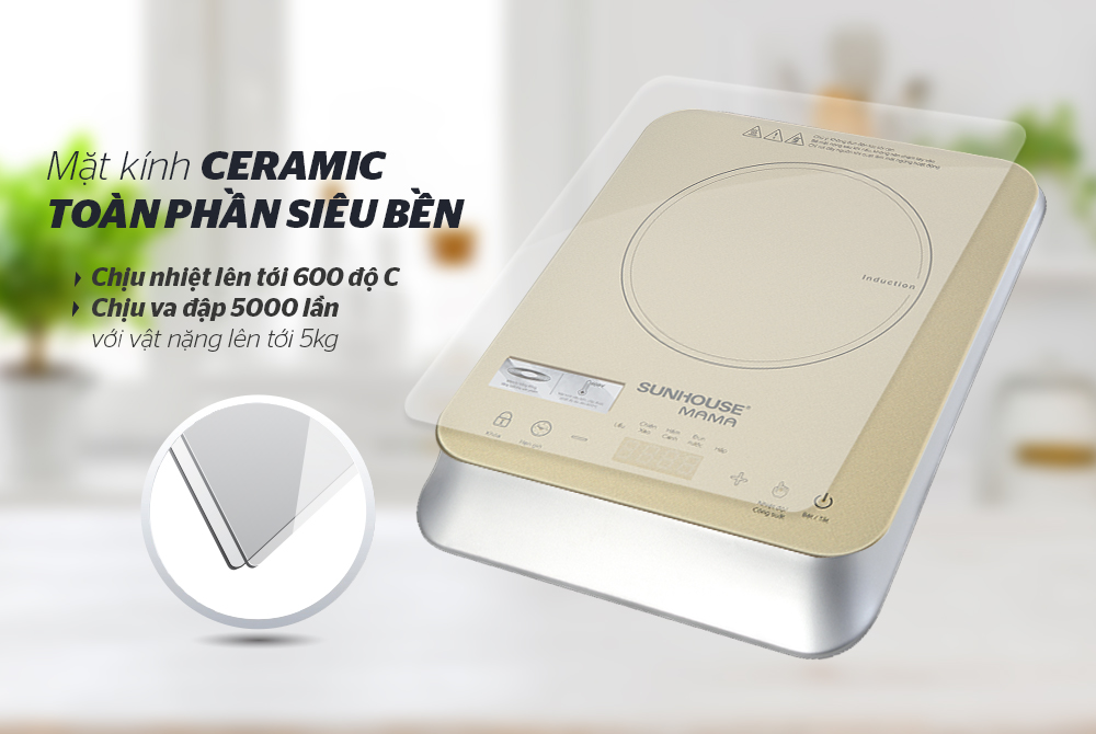 TOP 4 bếp từ giá rẻ bán chạy nhất tại Hà Nội