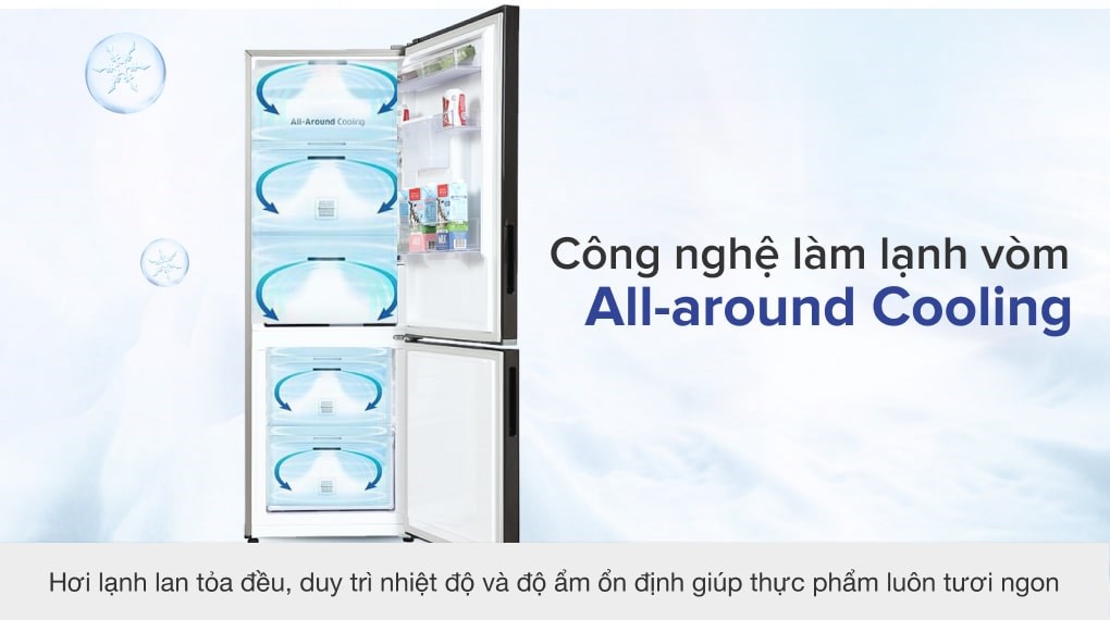 Những lý do bạn nên chọn mẫu tủ lạnh Samsung RB33T307055/SV 