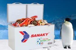 Top 3 Tủ Đông Sanaky Inverter được lòng người tiêu dùng nhất trong năm 2022