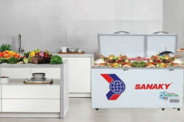 Lợi ích khi sử dụng chiếc tủ đông Sanaky VH-4099A4KD mang lại cho người dùng