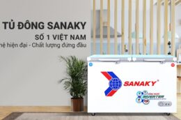 Khám phá 3 mẫu tủ đông Sanaky được bán chạy đầu năm 2023