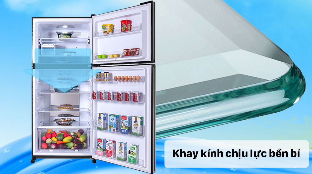 3 chiếc tủ lạnh giá rẻ có ngăn cấp đông mềm đáng mua nhất