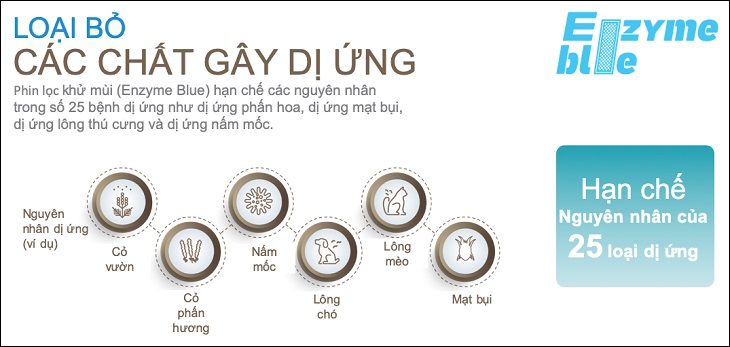 1. Phin lọc Enzyme Blue là gì?
