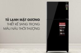 Liệu có nên chọn mẫu tủ lạnh Sharp SJ-XP620PG-BK cho căn phòng của bạn?