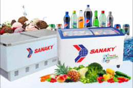Giới thiệu các mẫu tủ đông Sanaky 1 ngăn được khách hàng lựa chọn nhất năm 2022