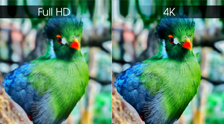 So sánh Smart tivi Sony 43 inch KD-43X86J và tivi Coocaa 43S7G nên chọn tivi của hãng nào?
