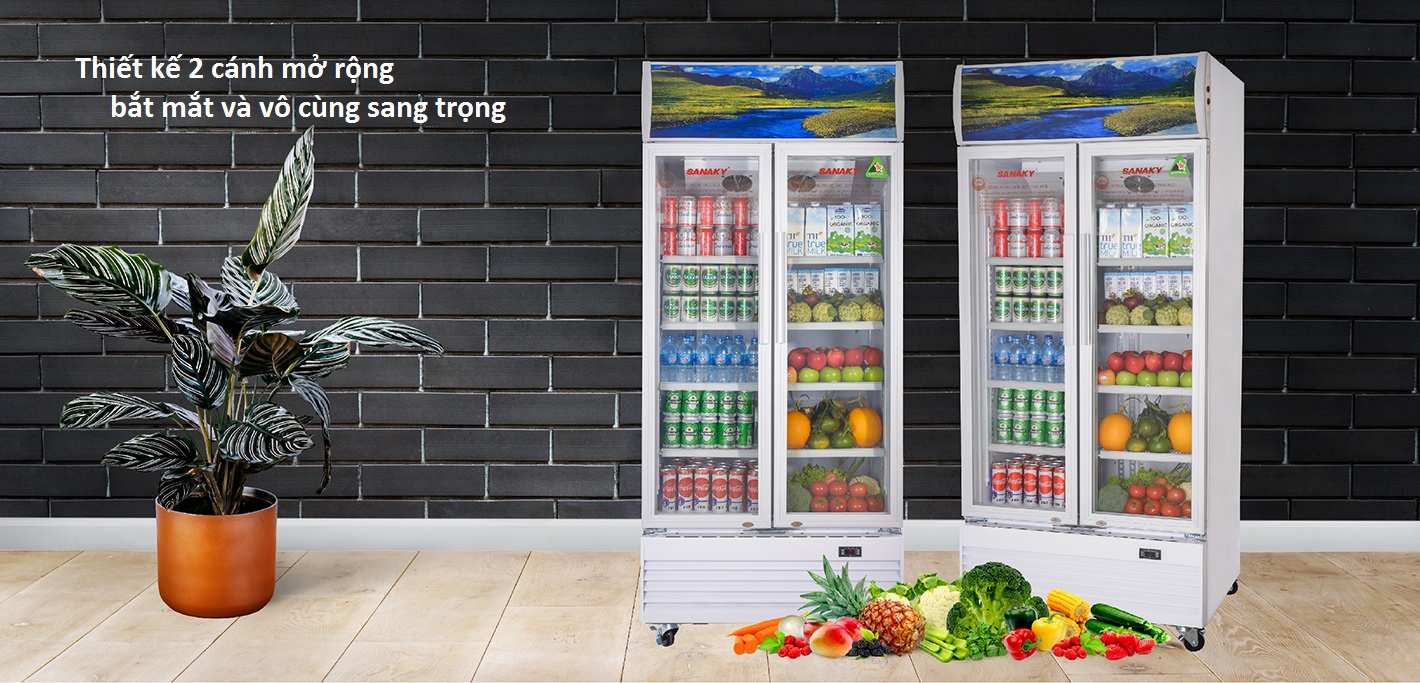 Điểm nổi bật của chiếc tủ mát Sanaky VH-6009HP trong mắt khách hàng