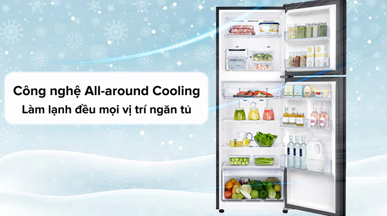 Giới thiệu tủ lạnh Samsung RT29K503JB1/SV 2 cánh - Tủ lạnh cho mọi nhà