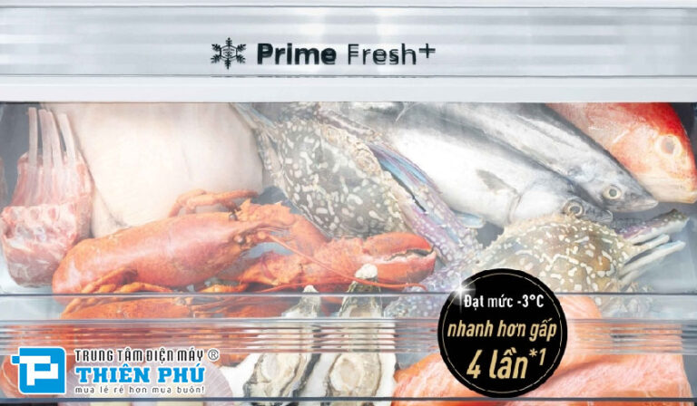 Tủ lạnh Panasonic inverter NR-BX421XGKV giải pháp lưu trữ thực phẩm thông minh, tiết kiệm điện tối ưu