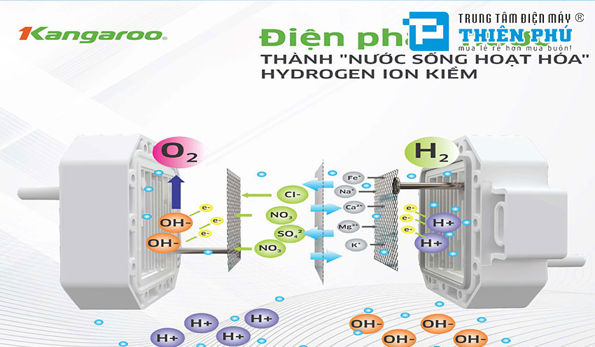 Máy lọc nước Kangaroo KG100EO- Nâng tầm đẳng cấp- Khẳng định chất lượng