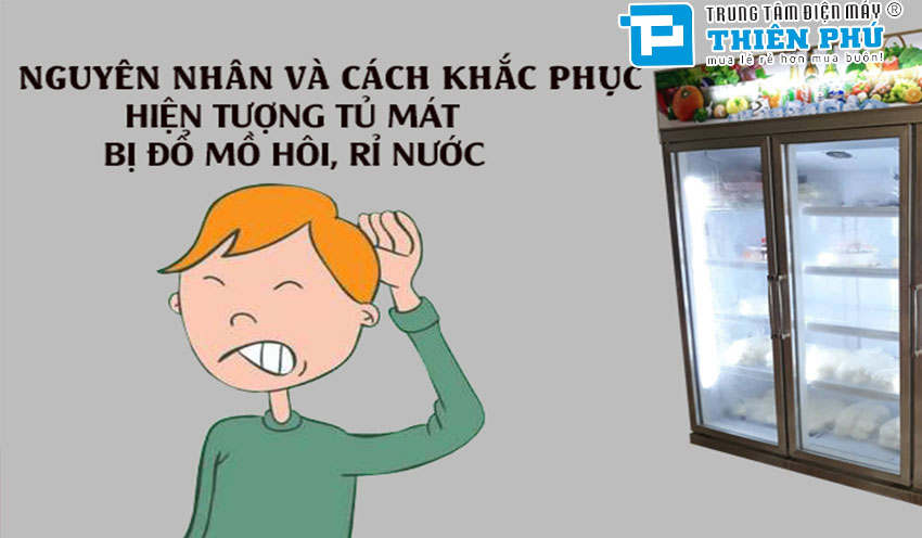 Tủ mát Sanaky 2 cánh VH-408W3L đổ mồ hôi nguyên nhân và cách khắc phục