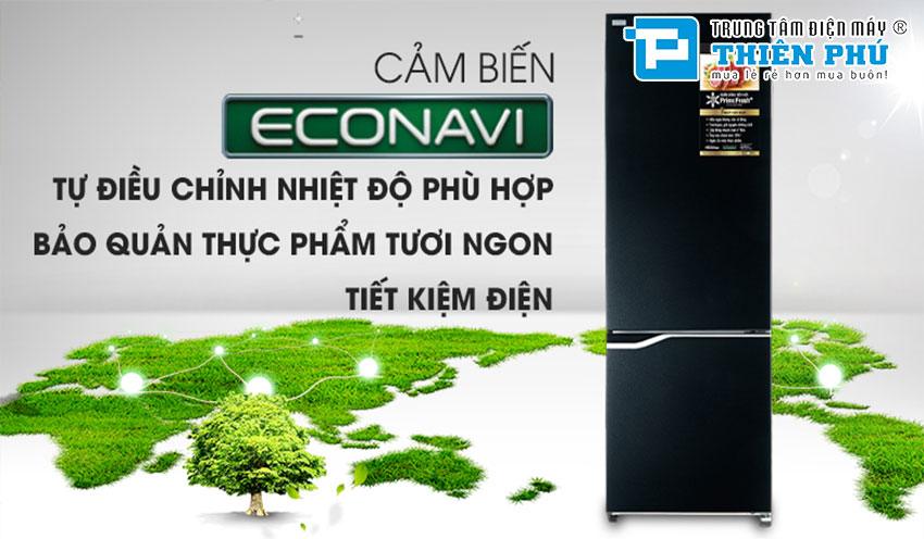 Báo giá tủ lạnh Panasonic 2 cánh NR-BV360GKVN tháng 5/2022 tại Thiên Phú