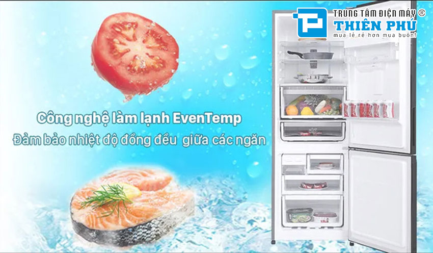 Nên mua tủ lạnh Electrolux EBB3402K-H hay ETB3440K-A thì tốt nhất? 