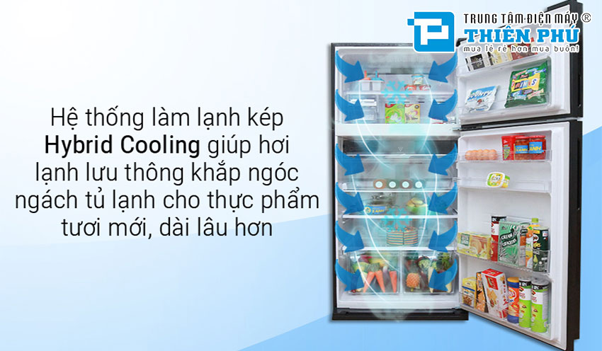 Điều gì khiến chiếc tủ lạnh Sharp Inverter SJ-XP570PG-SL thu hút người dùng?