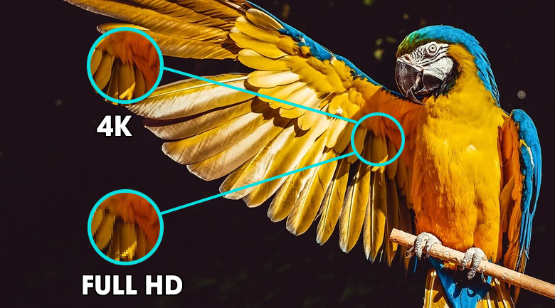 Khám phá công nghệ xử lý hình ảnh trên Tivi LG QNED 4K 86QNED86SQA