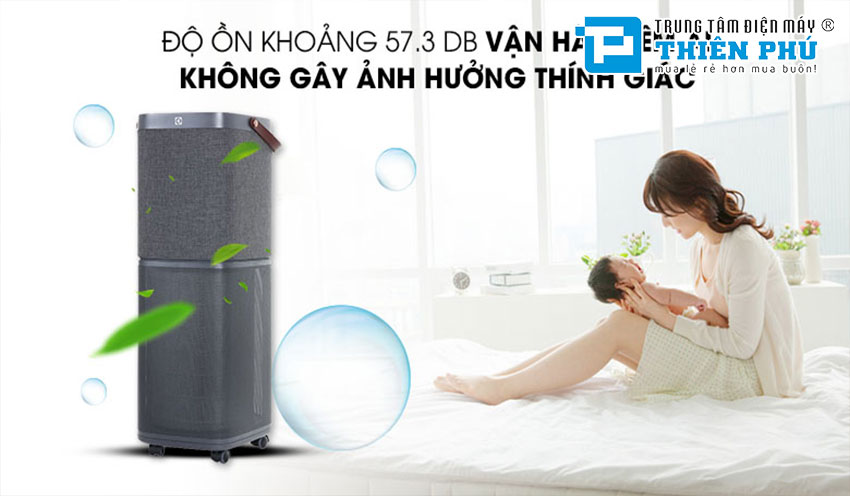 Máy Lọc Không Khí Electrolux PA91-606DG