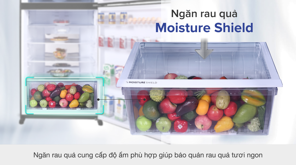 Bạn nên chọn tủ lạnh Sharp SJ-XP620PG-MR nếu gia đình có nhu cầu trữ cao