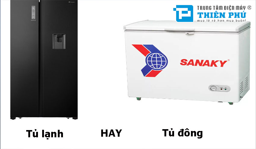 Nên mua tủ lạnh hay tủ đông để bảo quản thực phẩm hàng ngày của người dùng?