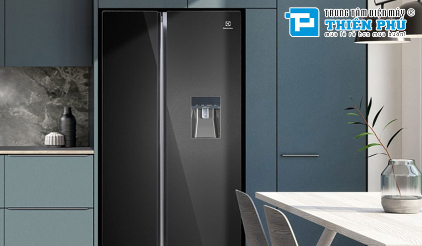 So sánh tủ lạnh Electrolux ETB5400B-H và ESE6141A-BVN. Loại nào tốt và nên mua?