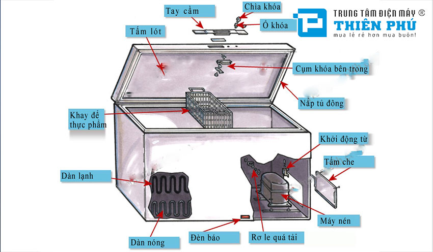Tìm hiểu cấu tạo và nguyên lý hoạt động của tủ đông giá rẻ Sanaky 