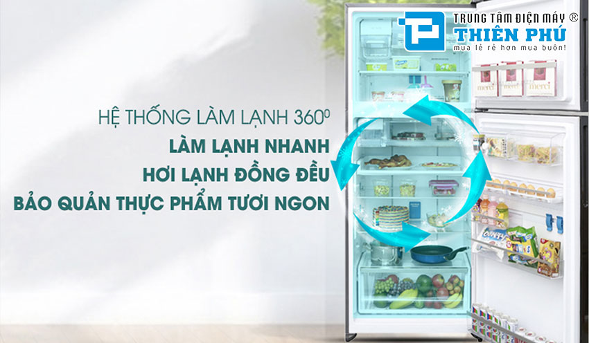 So sánh tủ lạnh Electrolux ETB5400B-H và ESE6141A-BVN. Loại nào tốt và nên mua?