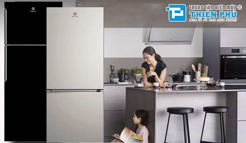 Nên chọn tủ lạnh Electrolux ETB5400B-H ngăn đá trên hay Electrolux EBB3702K-A ngăn đá dưới 