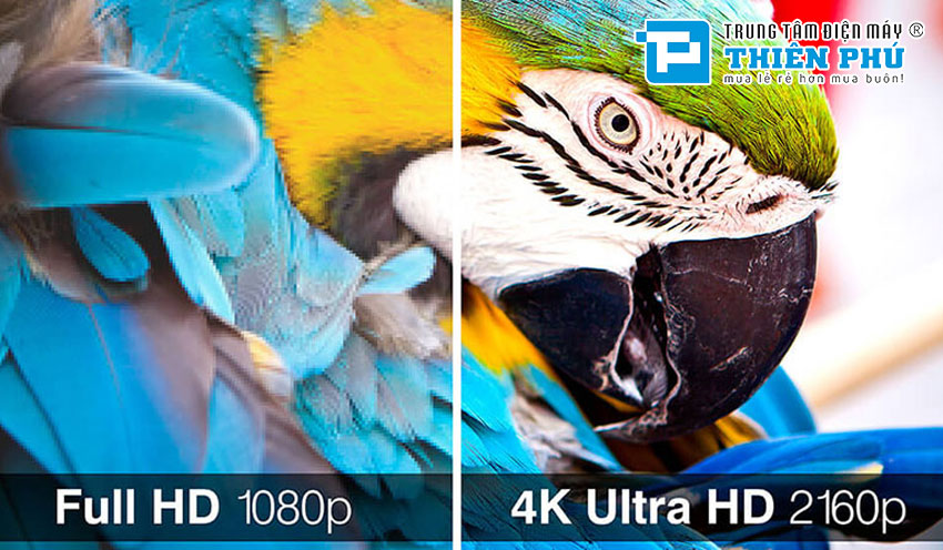 So sánh Tivi Sony 55 inch KD-55X85K và tivi Casper 55UW6000: Nên chọn mã tivi nào?