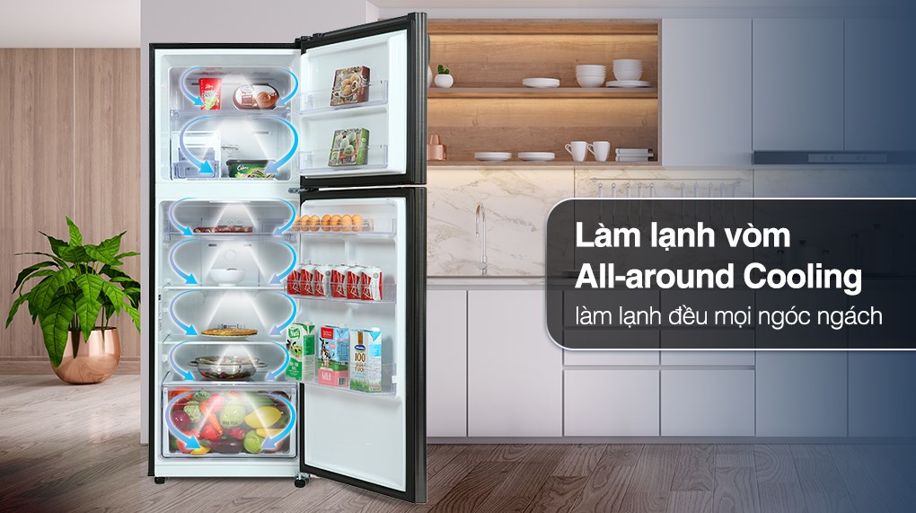 Lựa chọn tủ lạnh Samsung 2 cánh RT25M4032BU/SV giá rẻ chỉ 6.850.000₫