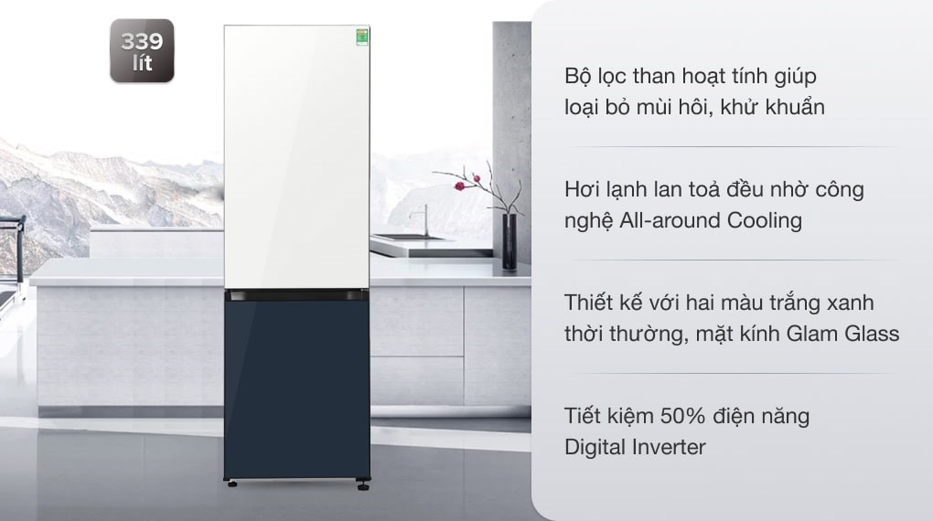 Có gì giống, khác nhau ở tủ lạnh Samsung RB30N4190BU/SV và RB33T307029/SV