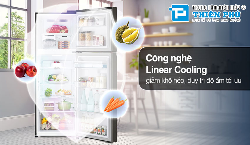 Khám phá chi tiết dòng tủ lạnh LG 2 cánh GV-B242BL mới ra mắt 2022