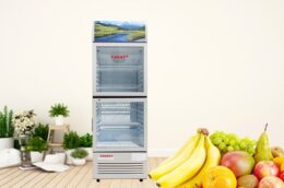 Tủ Mát Sanaky 180 Lít 2 Cánh VH-218WL dung tích nhỏ nhưng chất lượng không hề nhỏ