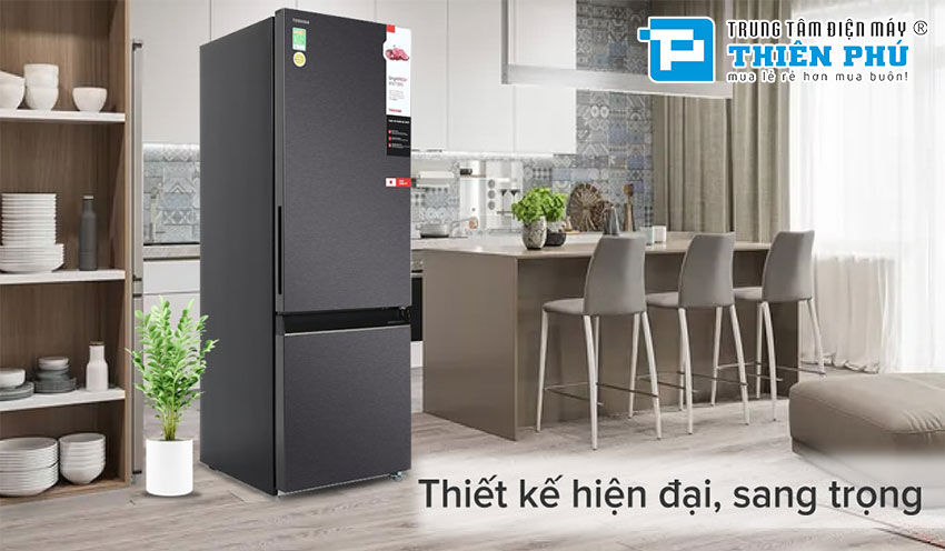  4 lý do nên sở hữu tủ lạnh Toshiba 2 cánh GR-RB410WE-PMV(37)-SG trong năm 2022 